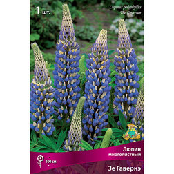 ������ ������ ����� ������������ �� �������   ����