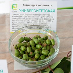 ������ ������ ��������� ��������� ���������������   ����