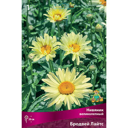 ������ ������ ������� ������������ ������� �����   ����