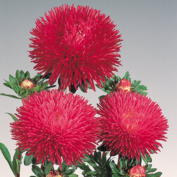 ������ ������ ����� ���� �������� (1 ��-1000��) ���������������� ������   ����