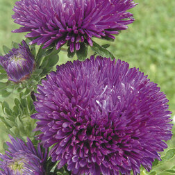 ������ ������ ����� ���� ����� (1 ��-1000��) ���������������� ������   ����