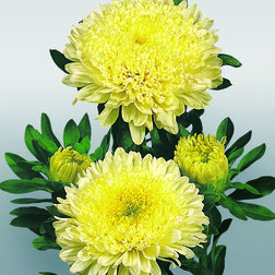 ������ ������ ����� ������� ����� (1 ��- 1000��) ���������������� ������   ����