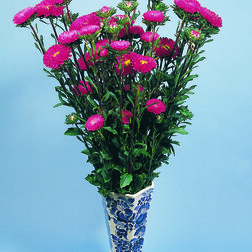 ������ ������ ����� ��� ��� ���� (1��-1000��) ���������������� ������   ����