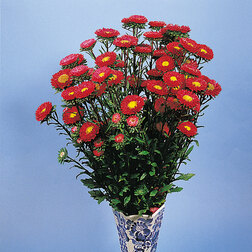 ������ ������ ����� ��� ��� (1��-1000��) ���������������� ������   ����