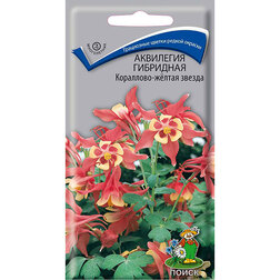 ������ ������ ��������� ��������� ���������-����� ������   ����