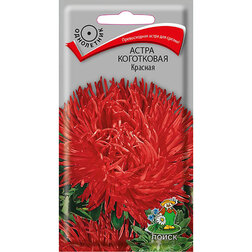 ������ ������ ����� ���������� �������   ����