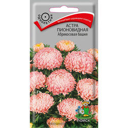 ������ ������ ����� ����������� ����������� �����   ����