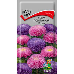 ������ ������ ����� ��������� �����   ����