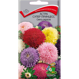 ������ ������ ����� ����� �������� ����� �������   ����