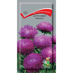 ������ ������ ����� ���� �������   ����