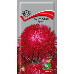 ������ ������ ����� ���� ������   ����