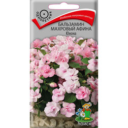 ������ ������ ��������� �������� ����� �����   ����