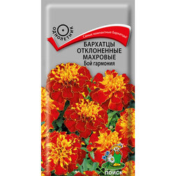 ������ ������ �������� ����������� �������� ��� ��������   ����