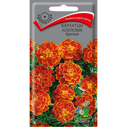 ������ ������ �������� ������� �������   ����