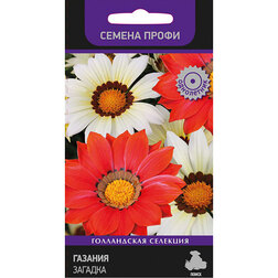 ������ ������ ������� ������� (������ �����)   ����