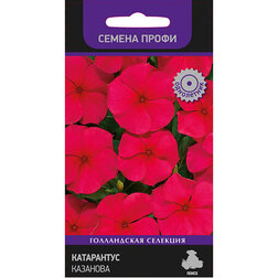 ������ ������ ���������� �������� (������ �����)   ����