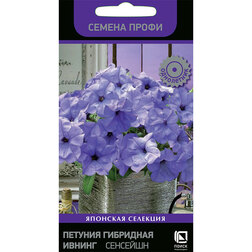 ������ ������ ������� ��������� ������ ��������   ����