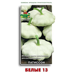 ������ ������ �������� ����� 13   ����