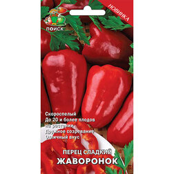 ������ ������ ����� ������� ���������   ����