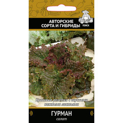 ������ ������ ����� ������   ����