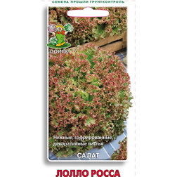 ������ ������ ����� ����� �����   ����