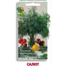 ������ ������ ����� �����   ����