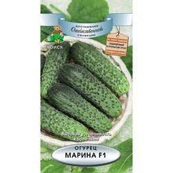 ������ ������ ������ ������ F1   ����