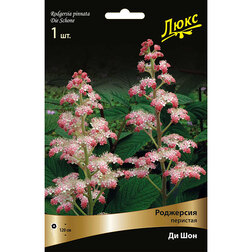 ������ ������ ��������� �������� �� ���   ����