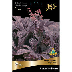 ������ ������ ��������� �������� ������� �����   ����