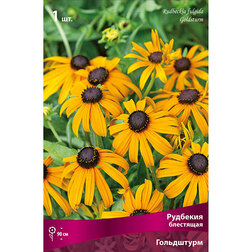 ������ ������ �������� ��������� ����������   ����