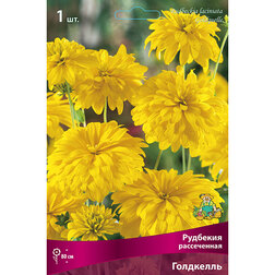 ������ ������ �������� ����������� ���������   ����