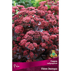 ������ ������ ����� ��������� ϸ�� ������   ����