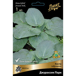 ������ ������ ����� ��������� ��������� ����   ����