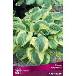 ������ ������ ����� ��������� ��������   ����