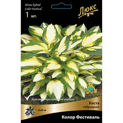 ������ ������ ����� ��������� ����� ���������   ����