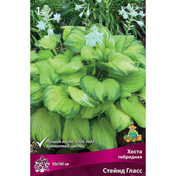 ������ ������ ����� ��������� ������ �����   ����