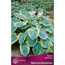 ������ ������ ����� �������� ������� ��������   ����