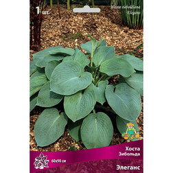 ������ ������ ����� �������� �������   ����