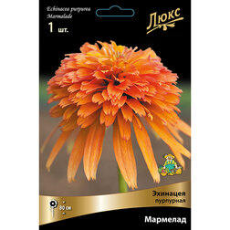 ������ ������ �������� ��������� ��������   ����