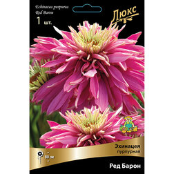 ������ ������ �������� ��������� ��� �����   ����