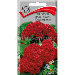 ������ ������ ������� ����������� ������ ������� (���� ������. �� ����� 2024 �)   ����