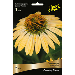 ������ ������ �������� ��������� ������ ����   ����