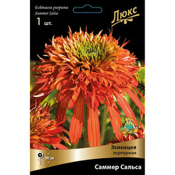 ������ ������ �������� ��������� ������ ������   ����