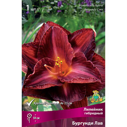 ������ ������ �������� ��������� �������� ���   ����