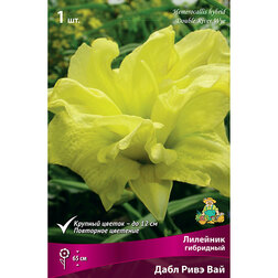 ������ ������ �������� ��������� ���� ���� ���   ����