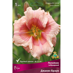 ������ ������ �������� ��������� ������ �����   ����