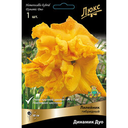 ������ ������ �������� ��������� ������� ���   ����