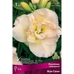 ������ ������ �������� ��������� ��� ����   ����