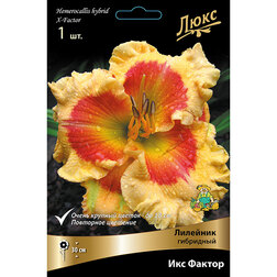 ������ ������ �������� ��������� ��� ������   ����