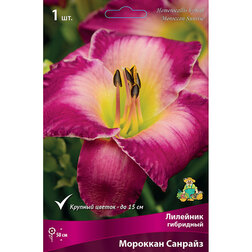 ������ ������ �������� ��������� �������� �������   ����